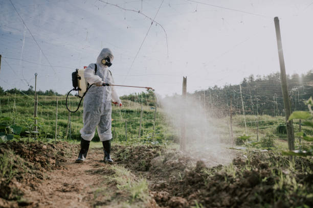 Best Commercial Pest Control Services  in South Beloit, IL