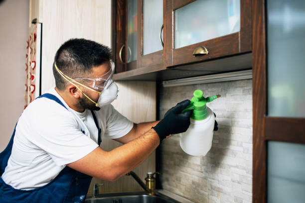 Professional Pest Control in South Beloit, IL