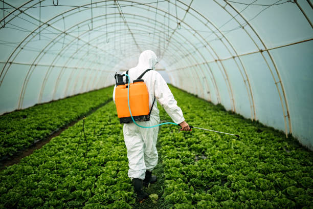 Best Pest Control Near Me  in South Beloit, IL