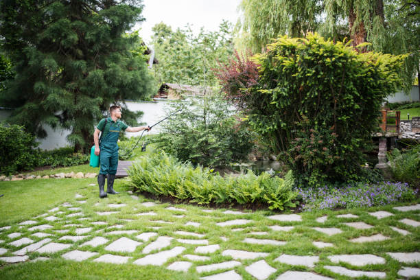 Best Insect Control  in South Beloit, IL