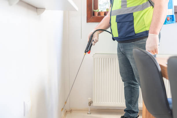 Best Affordable Pest Control Services  in South Beloit, IL