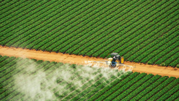 Best Best Pest Control Companies  in South Beloit, IL